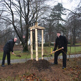 Zweite Baumpflanzung im November 2008: EGG-Geschäftsführer Bernd Petzold und Baudezernent Ramon Miller (r.).