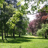 Impressionen vom Bieblacher Park