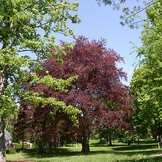 Impressionen vom Bieblacher Park