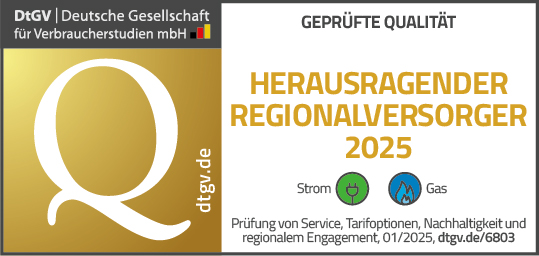 Herausragender Regionalversorger Strom und Gas 2025